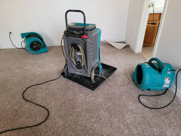 Ogden Dunes, IN Water damage restoration Pros