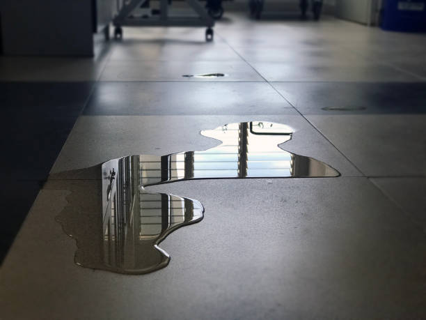 Best Water damage restoration services  in Ogden Dunes, IN
