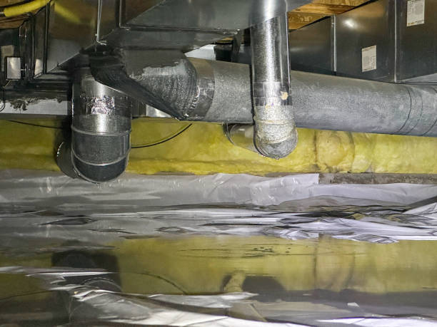 Best Basement water damage restoration  in Ogden Dunes, IN