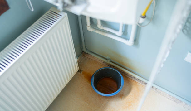 Best Local water damage restoration  in Ogden Dunes, IN