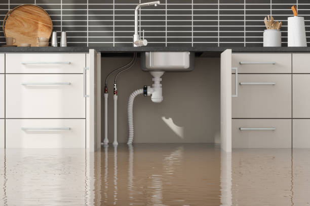 Best Water damage contractors near me  in Ogden Dunes, IN