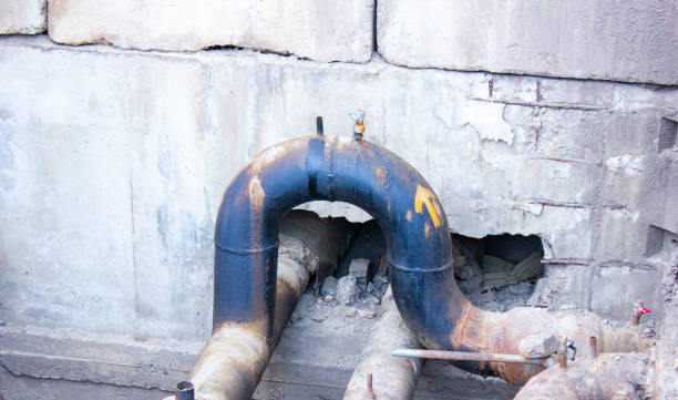 Best Water damage cleanup near me  in Ogden Dunes, IN