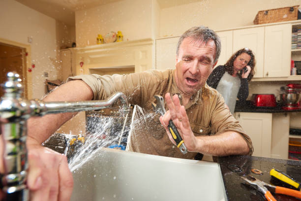 Best 24-hour water damage restoration  in Ogden Dunes, IN